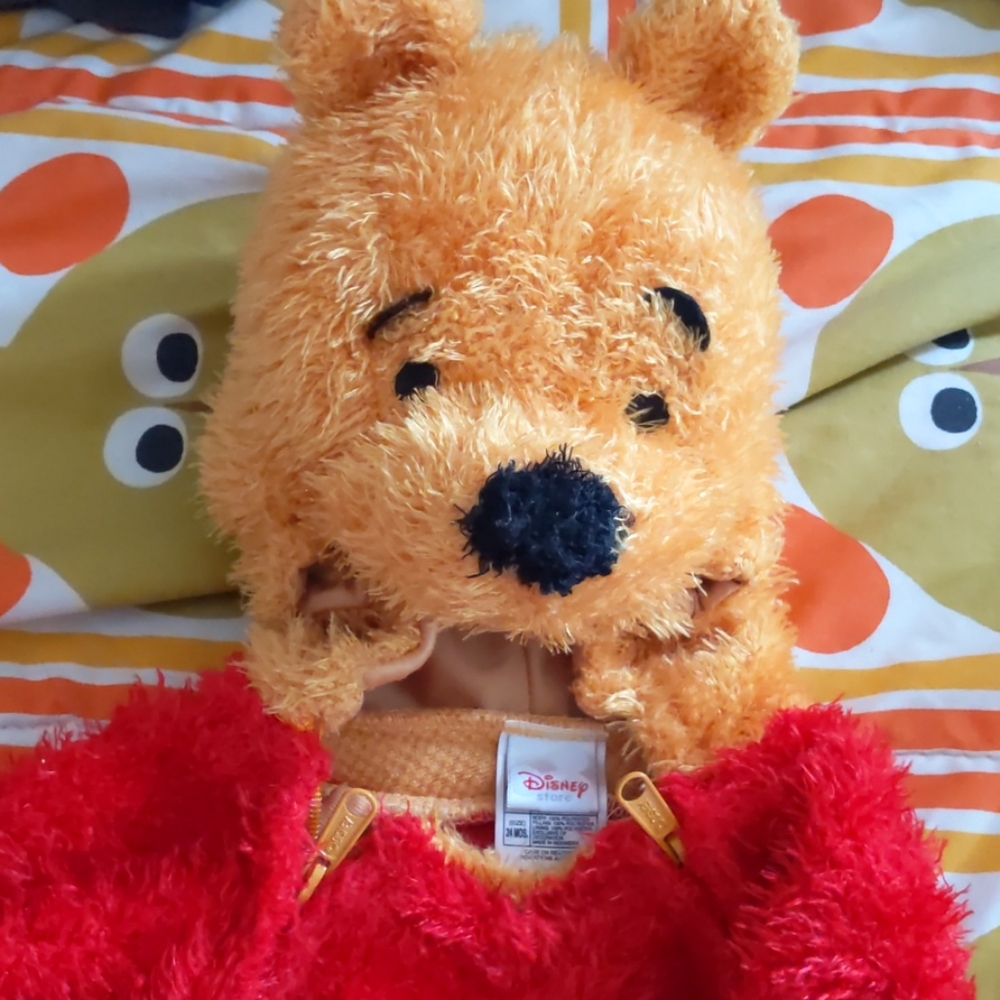 Winner the Pooh costume